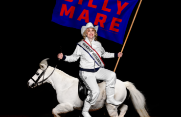 Hayley Ellis: Silly Mare